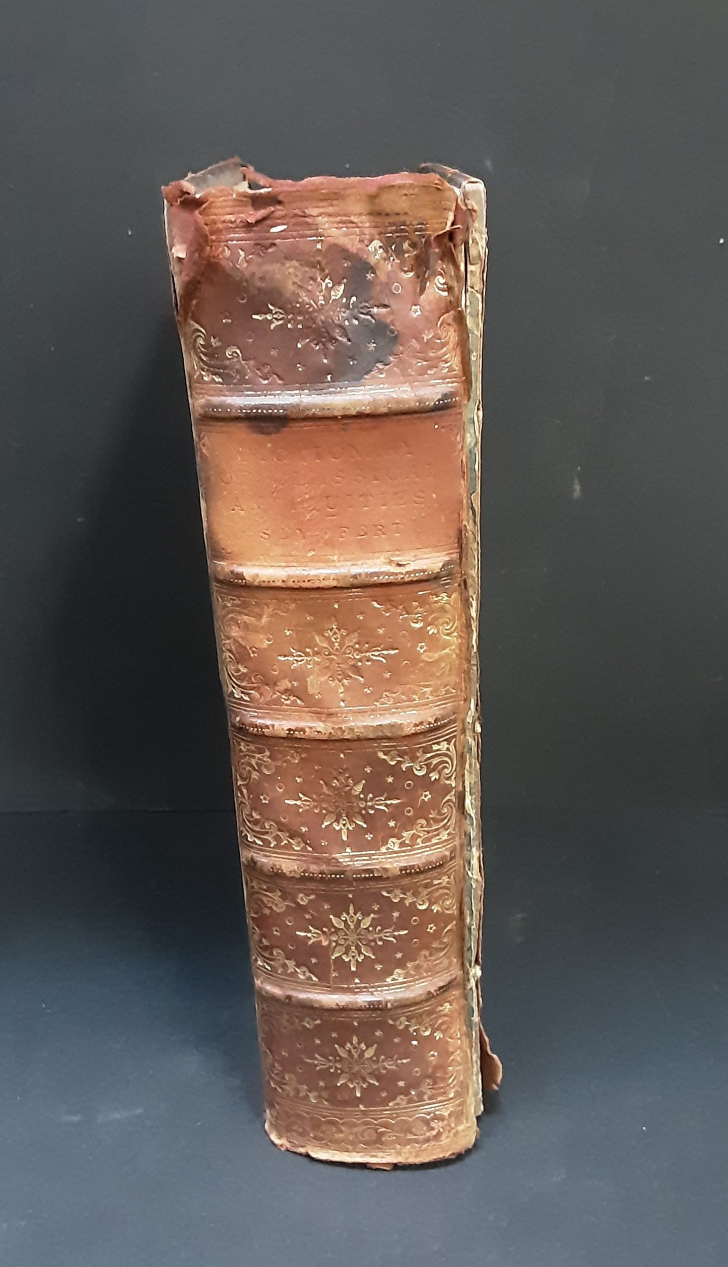 A Dictionary of Classical Antiquities, London: Swan Sonnenschein and Company, 1891