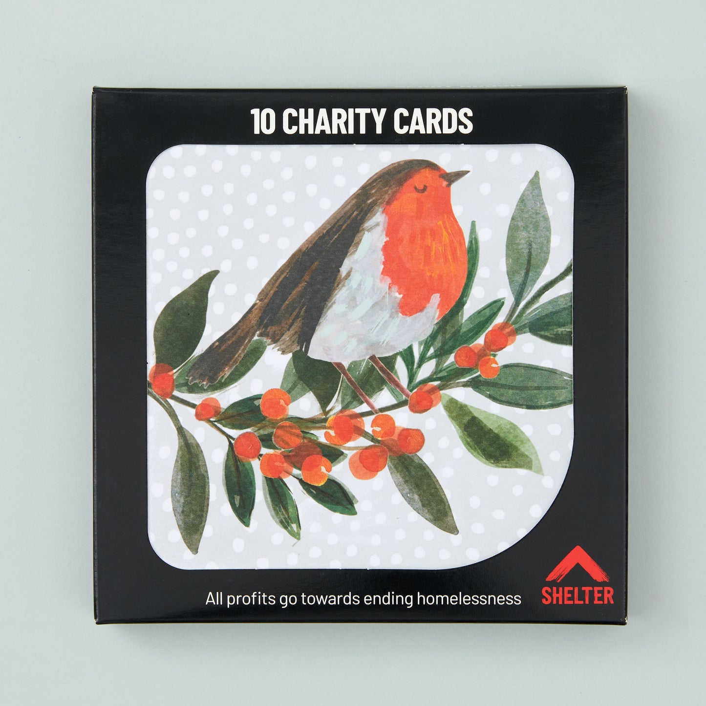 Pack of 10 'Beery Bough' robin Christmas cards in a black Shelter branded card box.