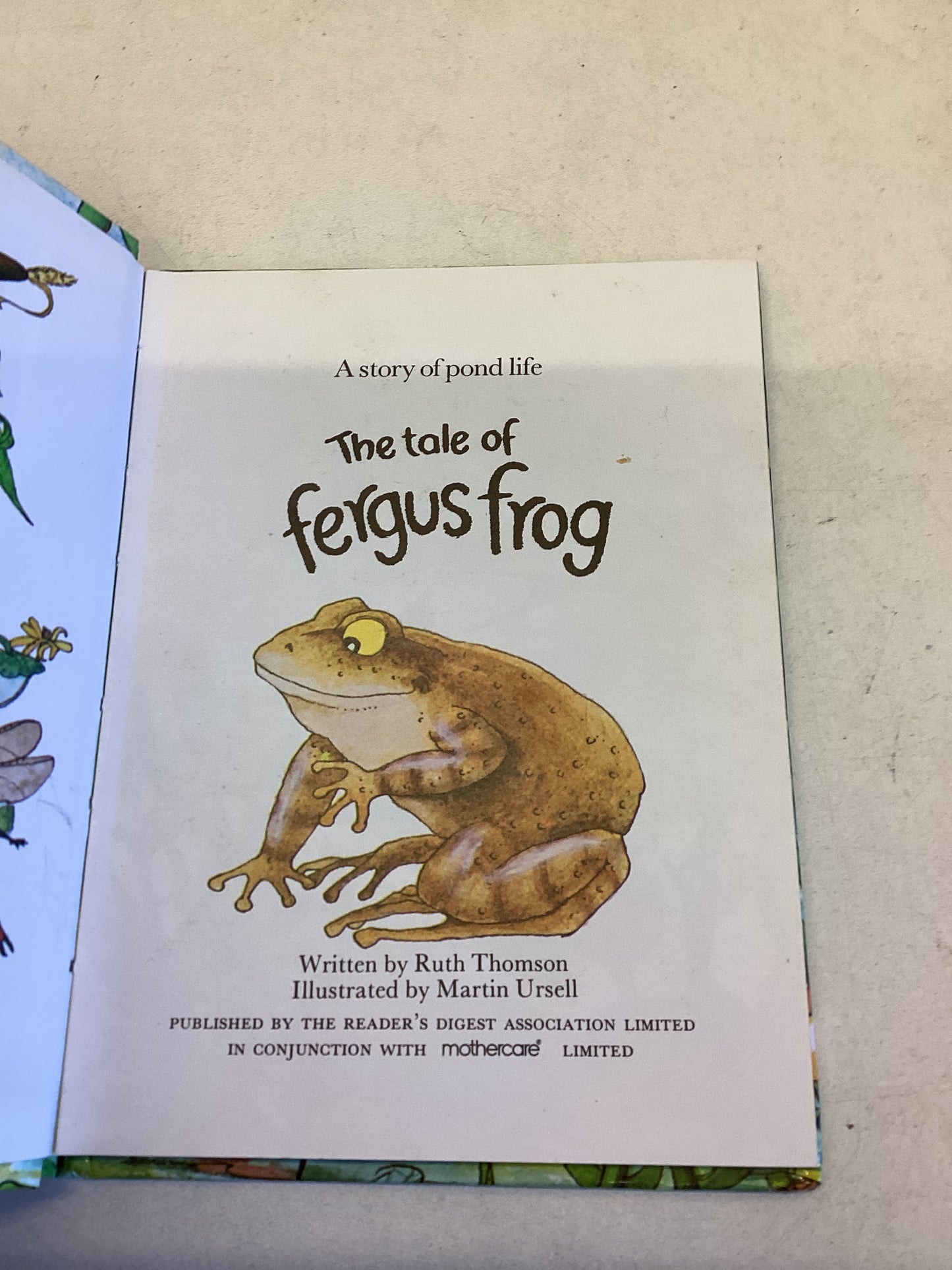 The Tales of Fergus Frog A Story of Pond Life