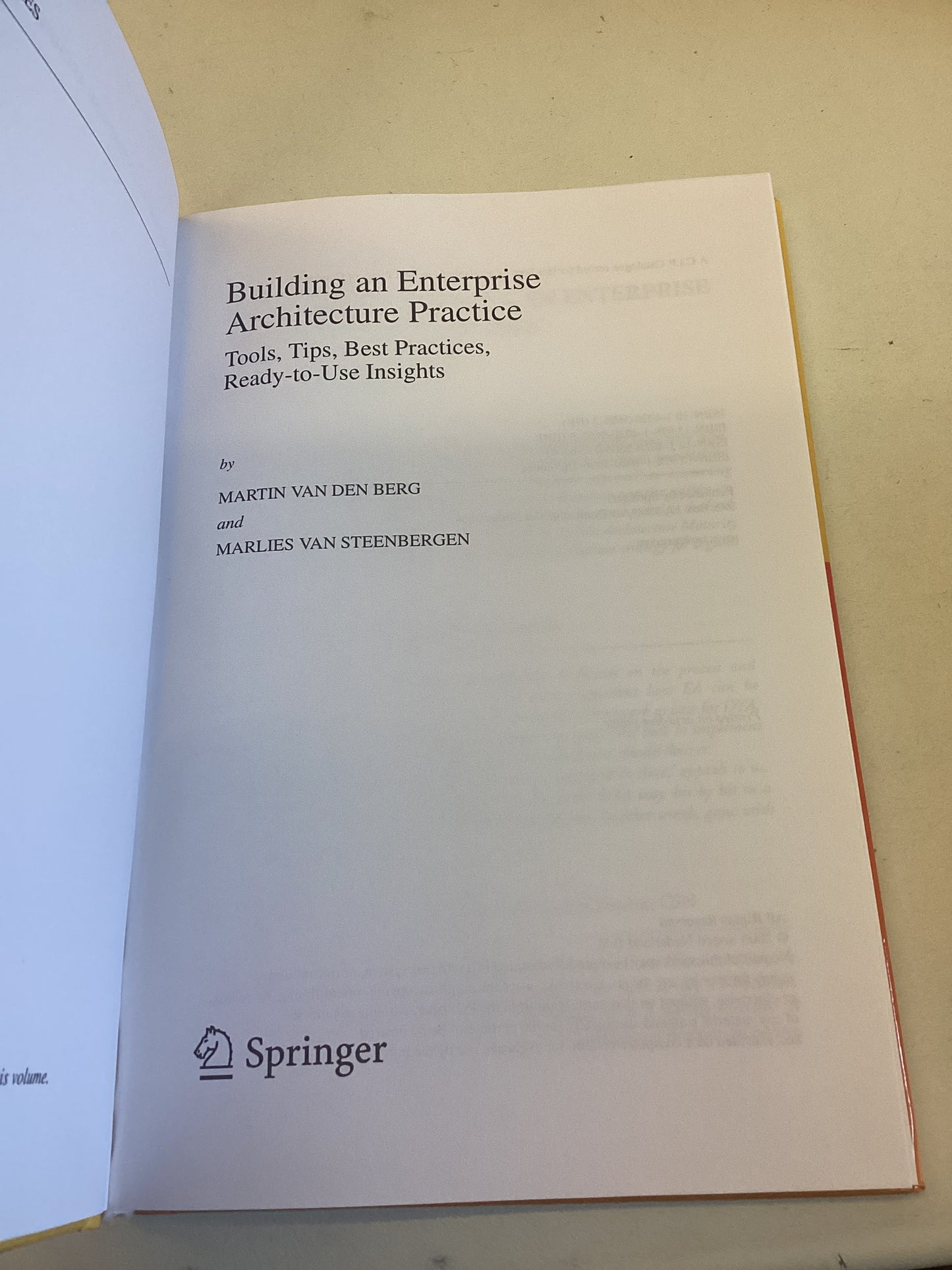 Building an Enterprise Architecture Practice Van Den Berg Van Steenbergen