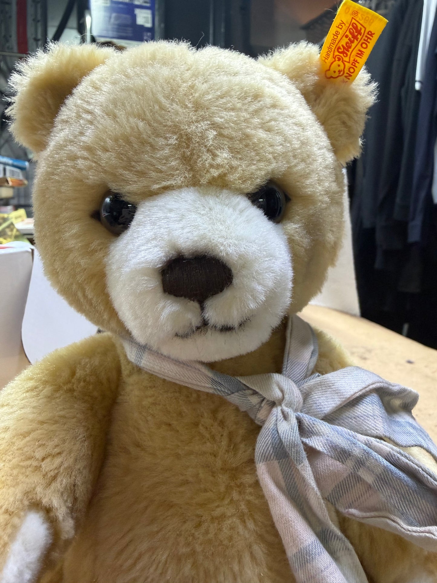 Steiff Teddybear Petsy - 012266