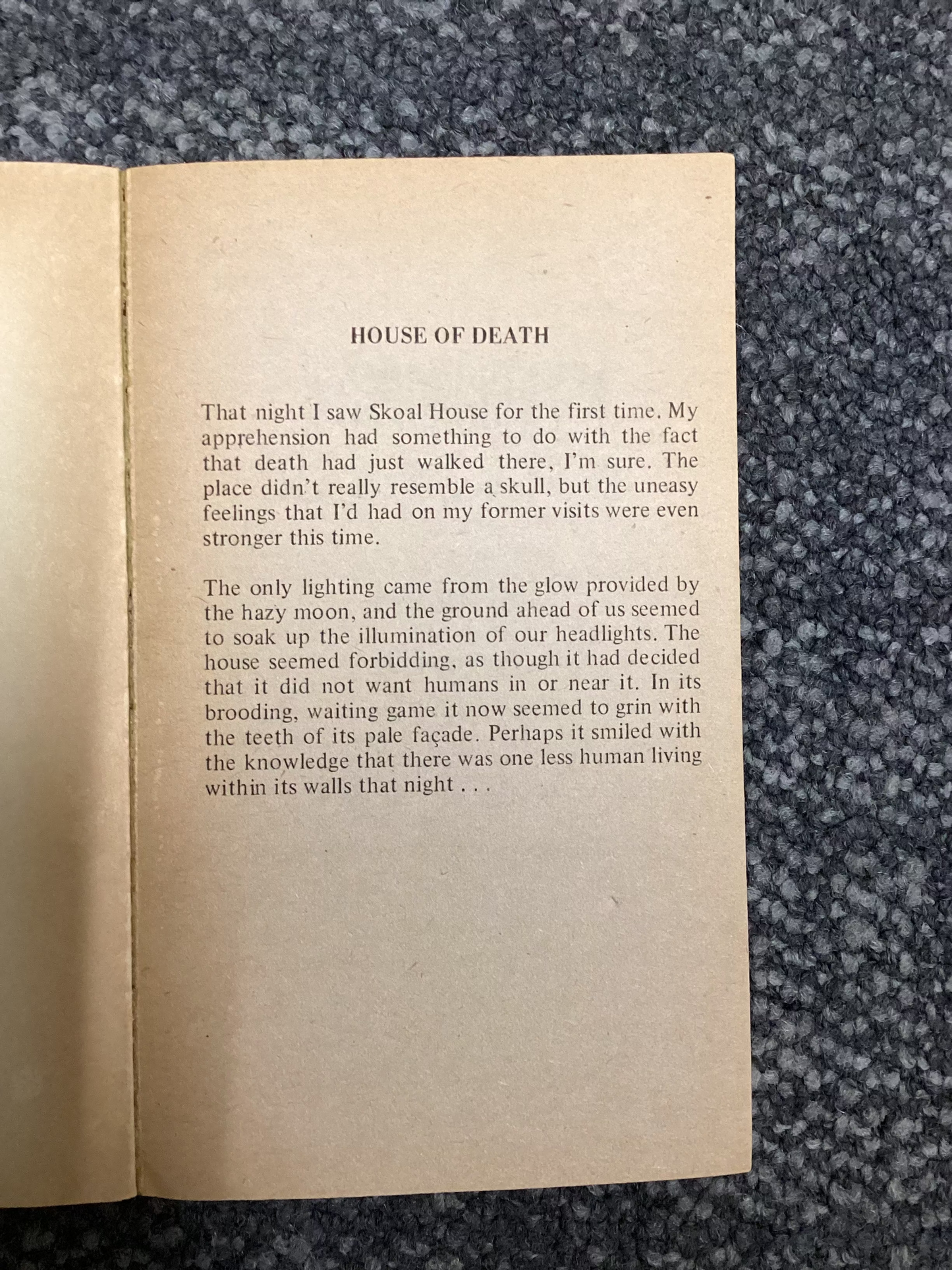 Horrorscope 4 - Gemini Smile, Gemini Kill - Robert Lory
