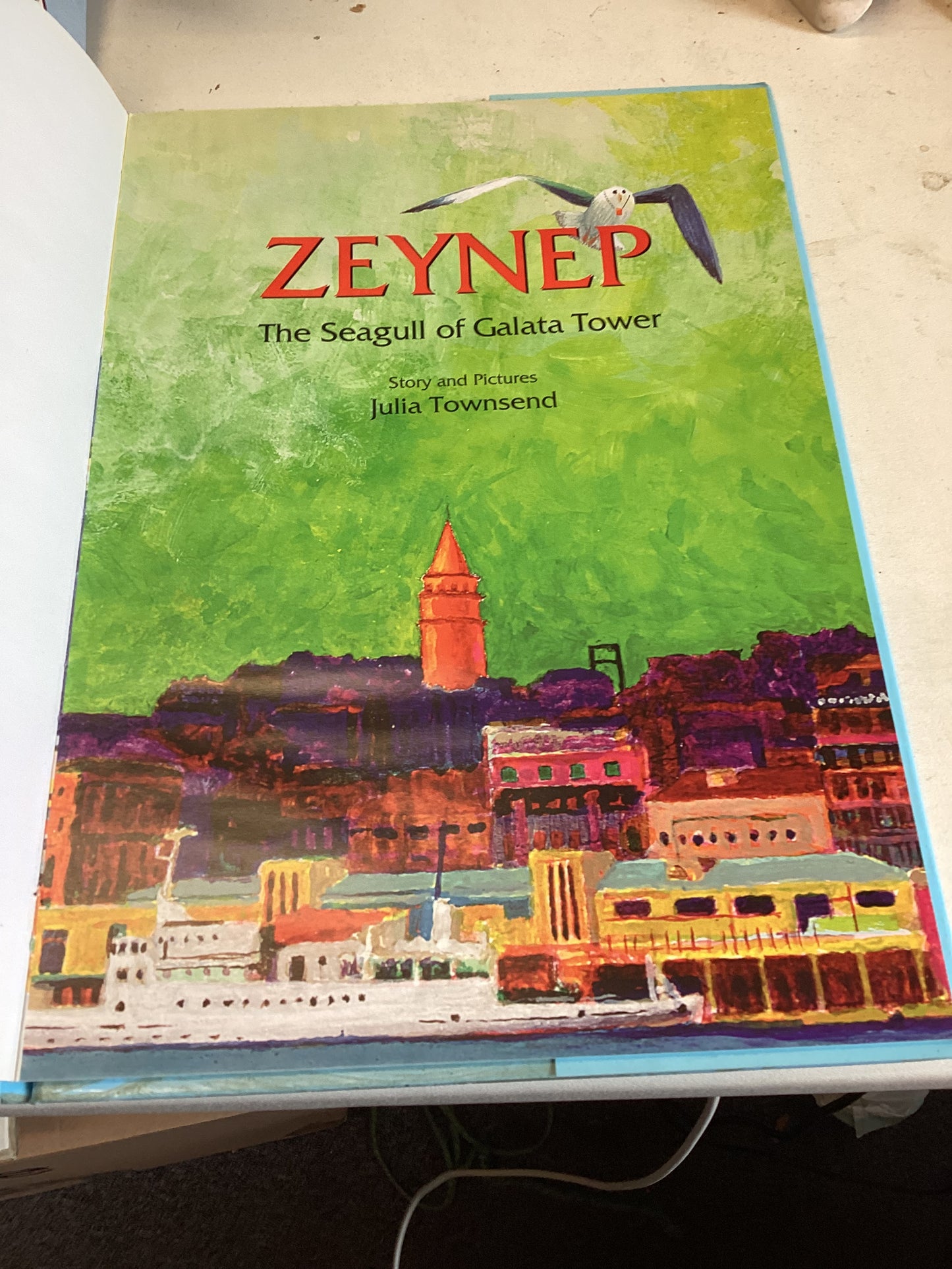 The Seagull of Galata Tower Zeynep Story and Pictures by Julia Townsend