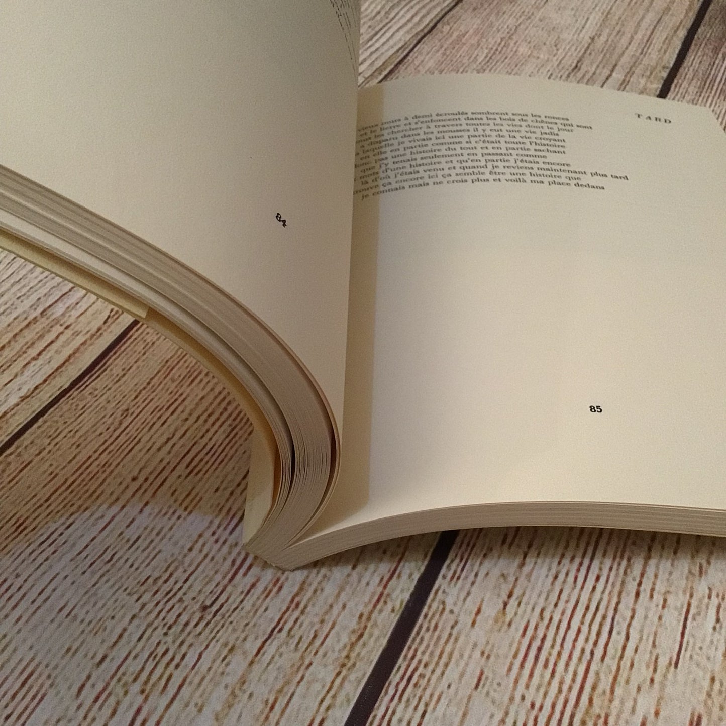 La Renarde by William S. Merwin (2004) 2865772357