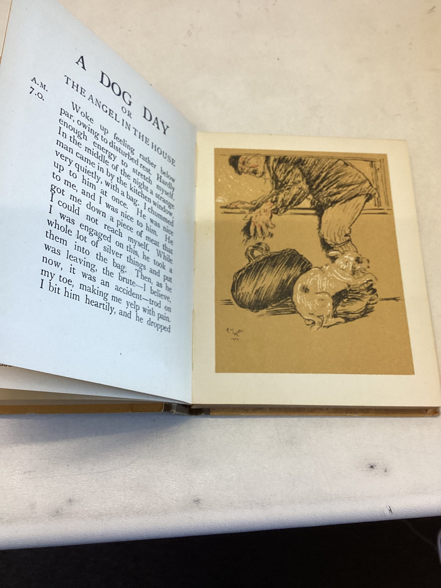 A Dog Day By Walter Emanuel Pictured By Cecil Aldin