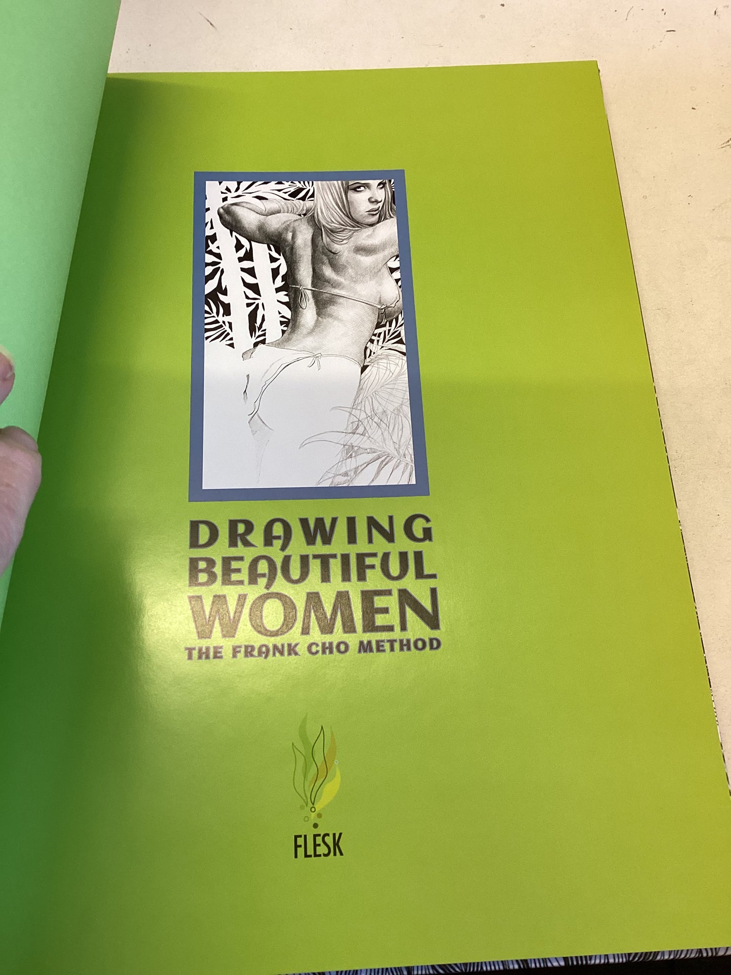 Drawing Beautiful Women The Frank Cho Method