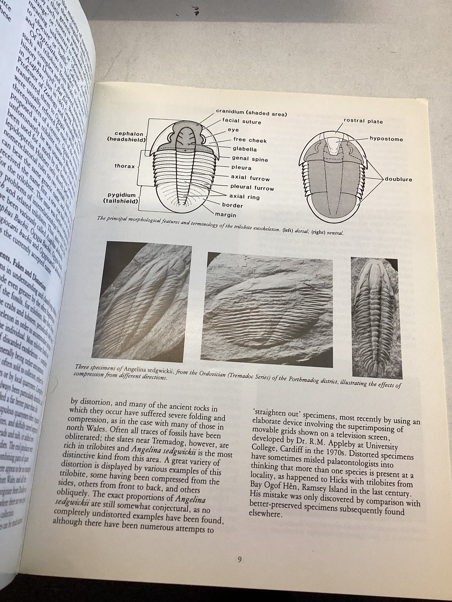 Trilbites in Wales National Museum of Wales Geological Series No 7 Cardiff April 1984 R M Owens
