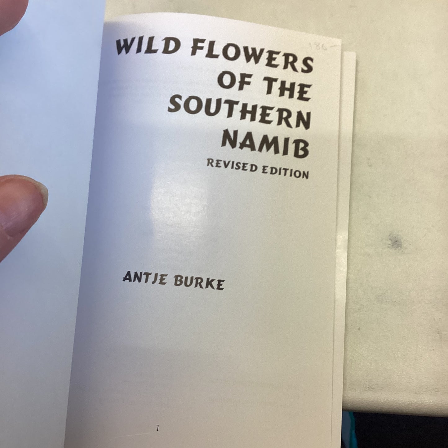 Wild Flowers of The Southern Namib Revised Edition Antje Burke