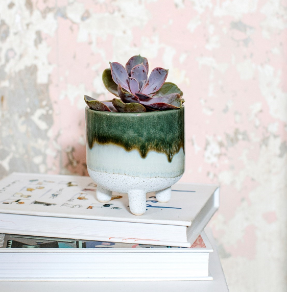 Green mojave planter on top of two books against a marble backdrop