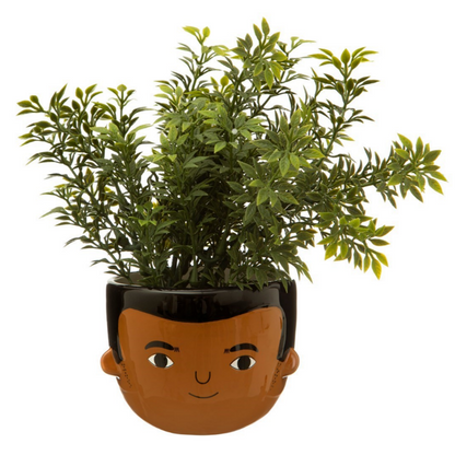 Mini Ezra pot with foliage inside against a white backdrop