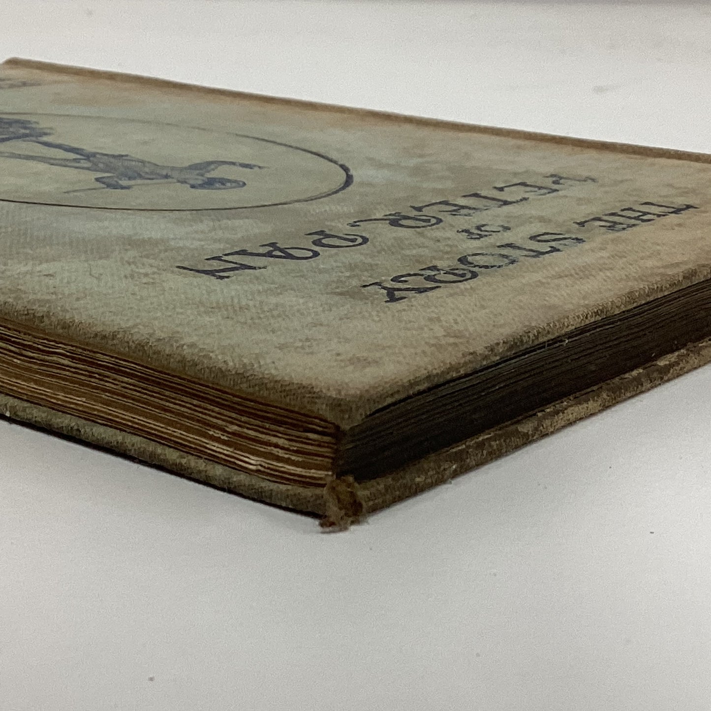The Story Of Peter Pan Book 1920