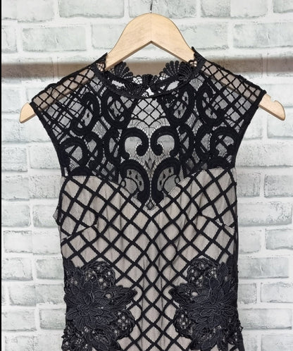 Lipsy London Black Nude Illusion Grid Lace Bodycon Dress Size 10 BNWT