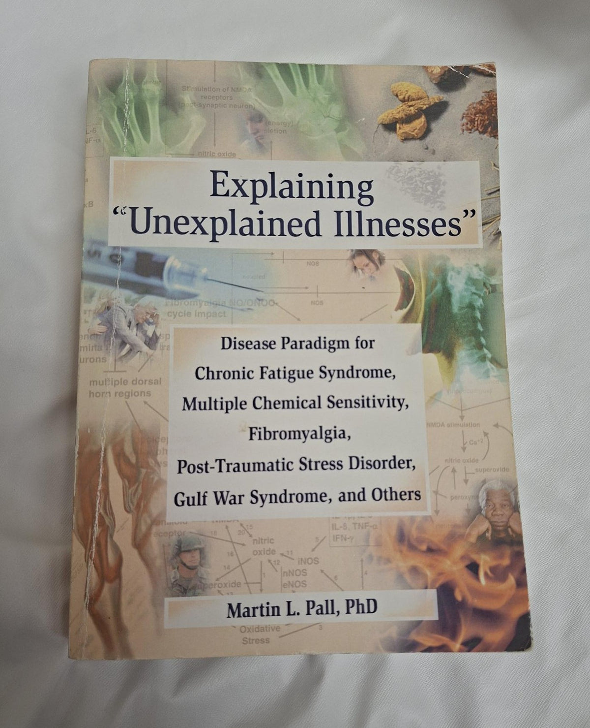 Explaining " Unexplained Illnesses " by Martin L. Pall, PhD