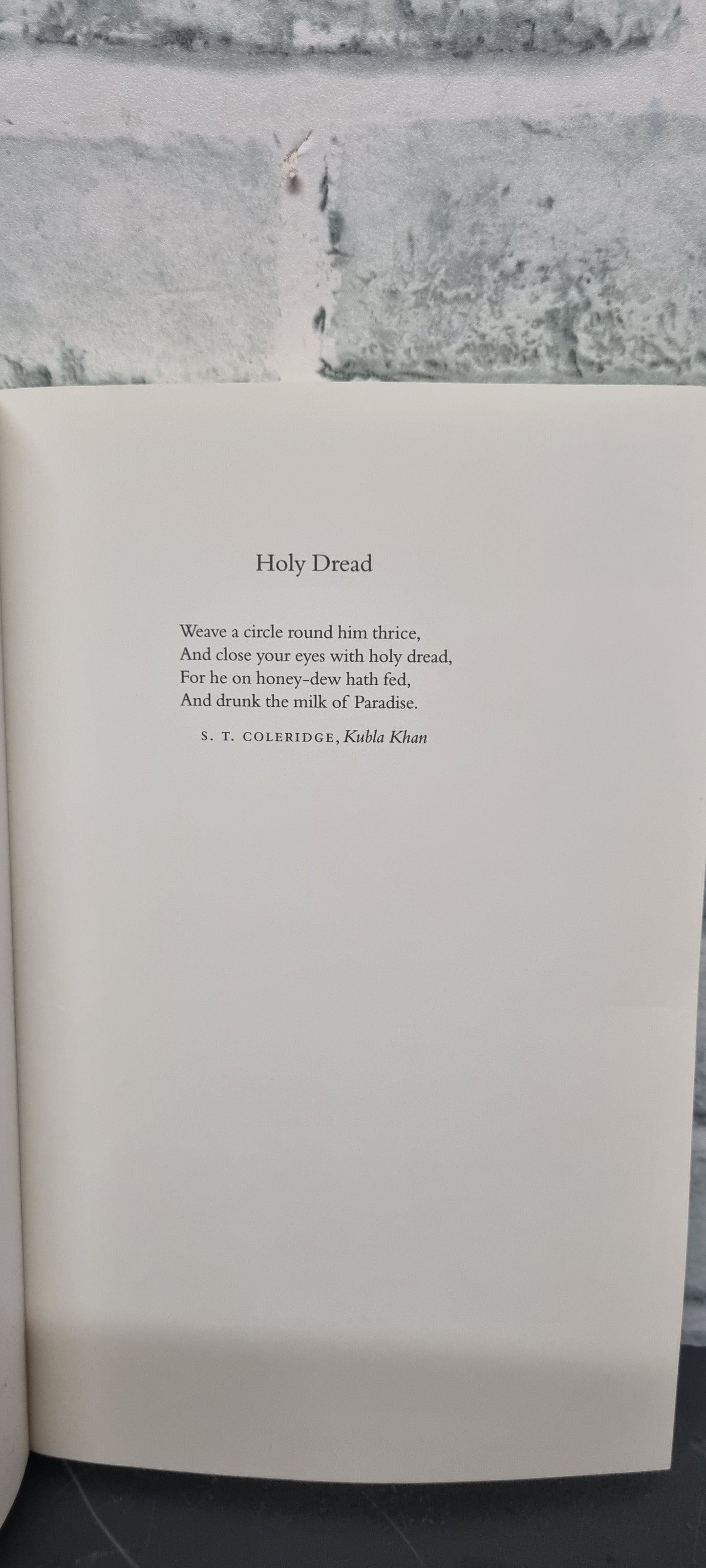 Holy Dread Diaries 1982-1984 by James Lees-Milne Softback