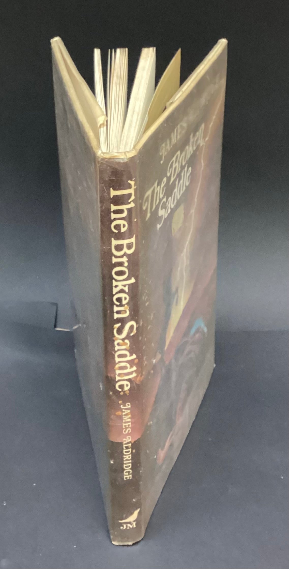 The Broken Saddle by James Aldridge
