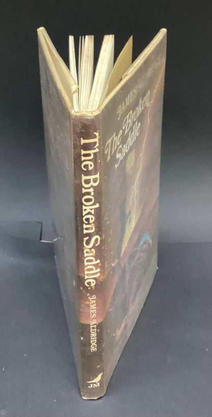 The Broken Saddle by James Aldridge
