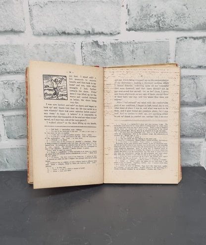 The Life and Adventures of Robinson Crusoe by Daniel De Foe Nouvelle Collection D'auteurs Anglais