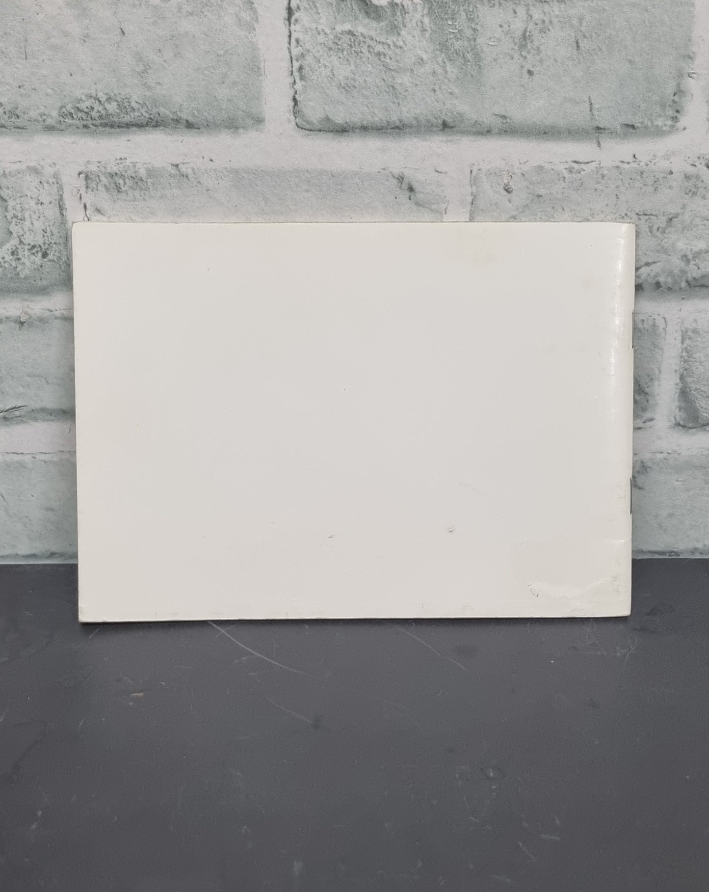 The Story of Jacko the Hurricane Donkey by Elisabeth D. Svendsen M.B.E.