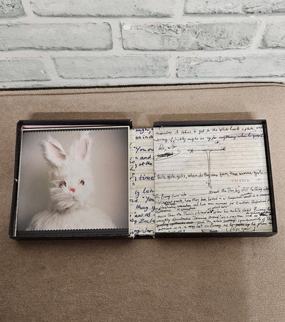 Nick Cave The Death of Bunny Munro CD Read by the Author