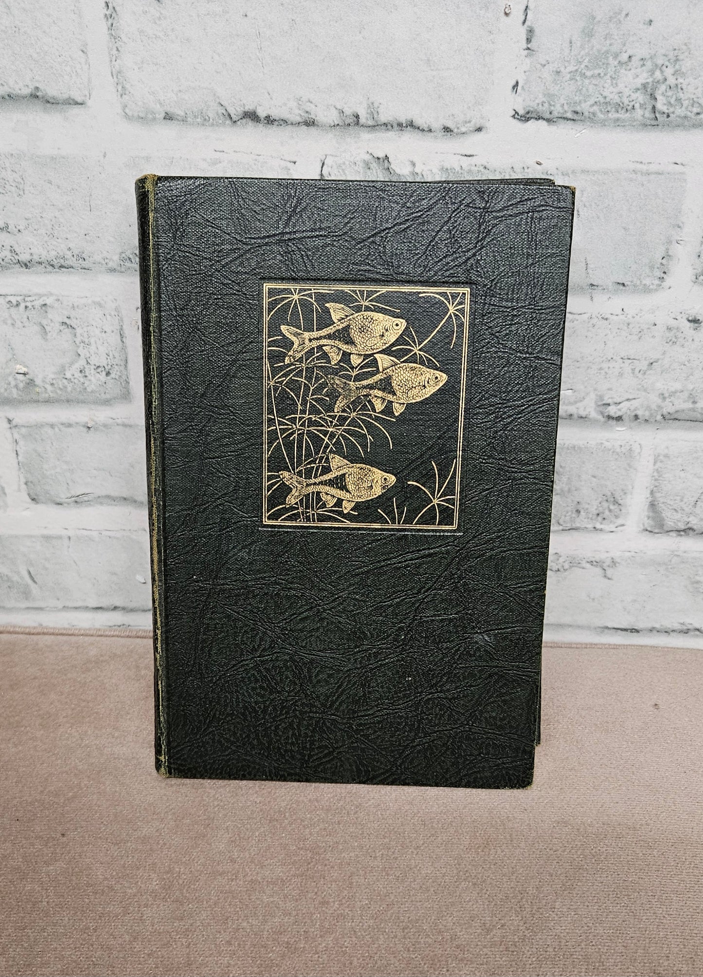 Exotic Aquarium Fishes A Work of General Reference by William T. Innes