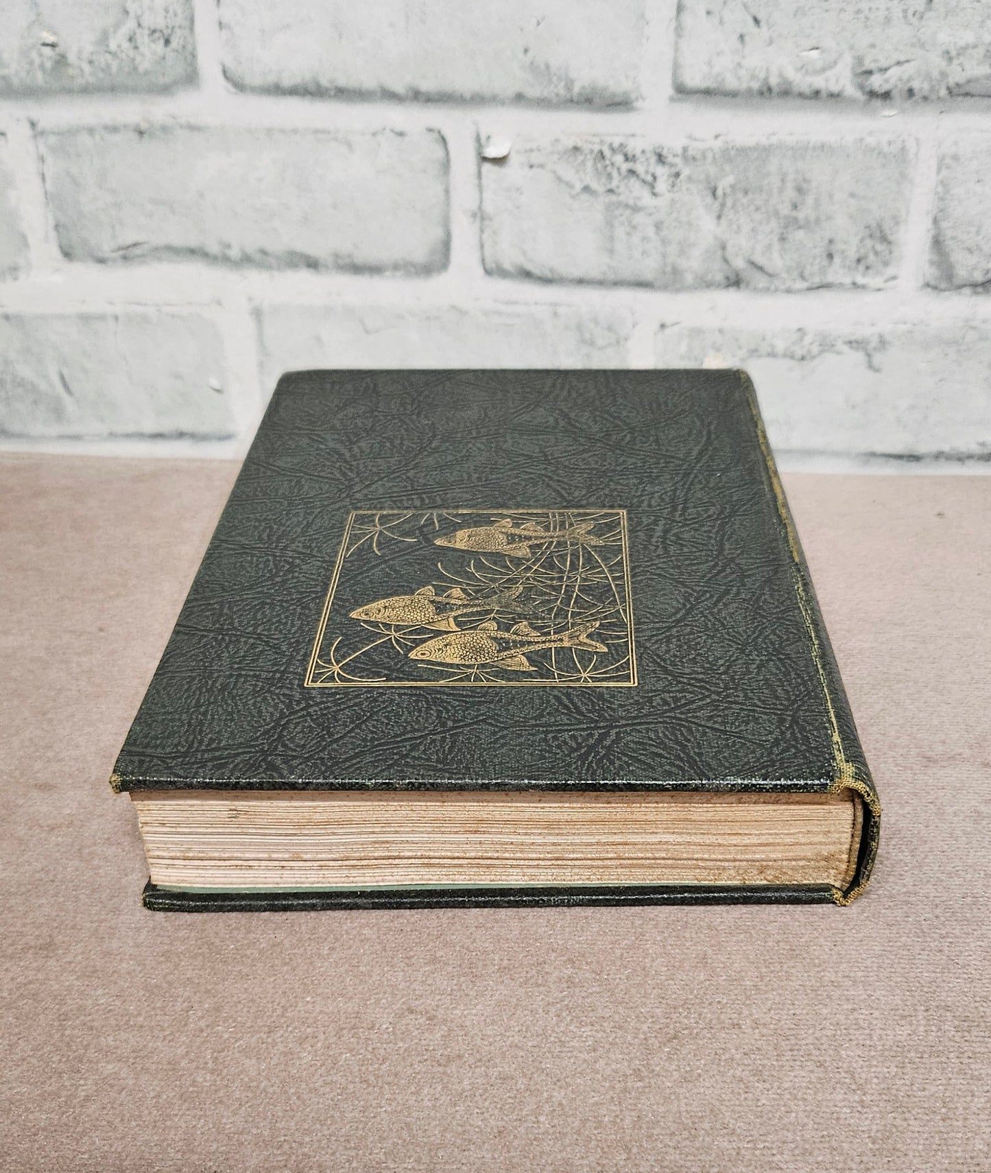 Exotic Aquarium Fishes A Work of General Reference by William T. Innes