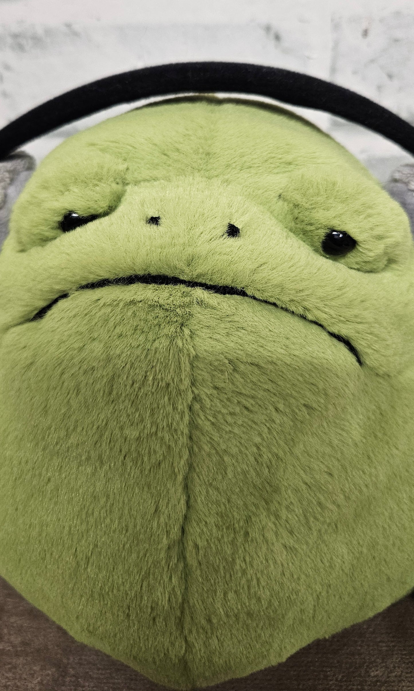 Jellycat Ricky Rain Frog with Headphones Plushie Toy