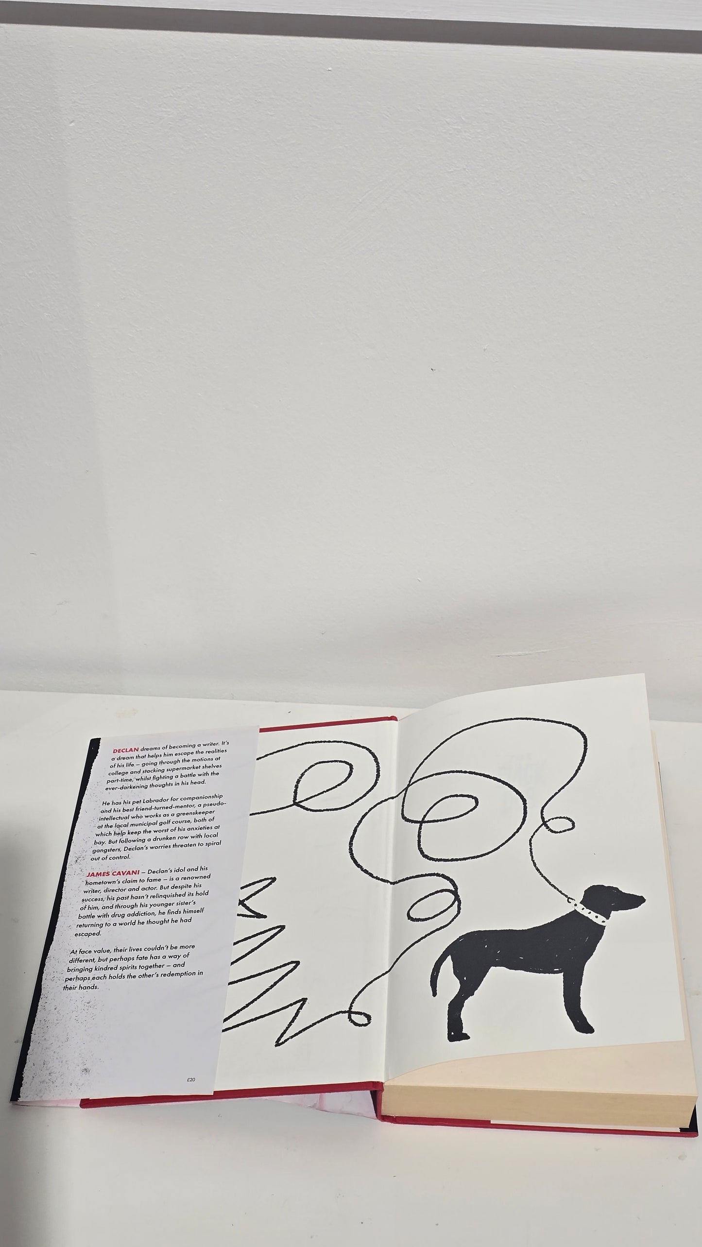 The Black Dog by Kevin Bridges - Signed First Edition Hardback Book(2022)