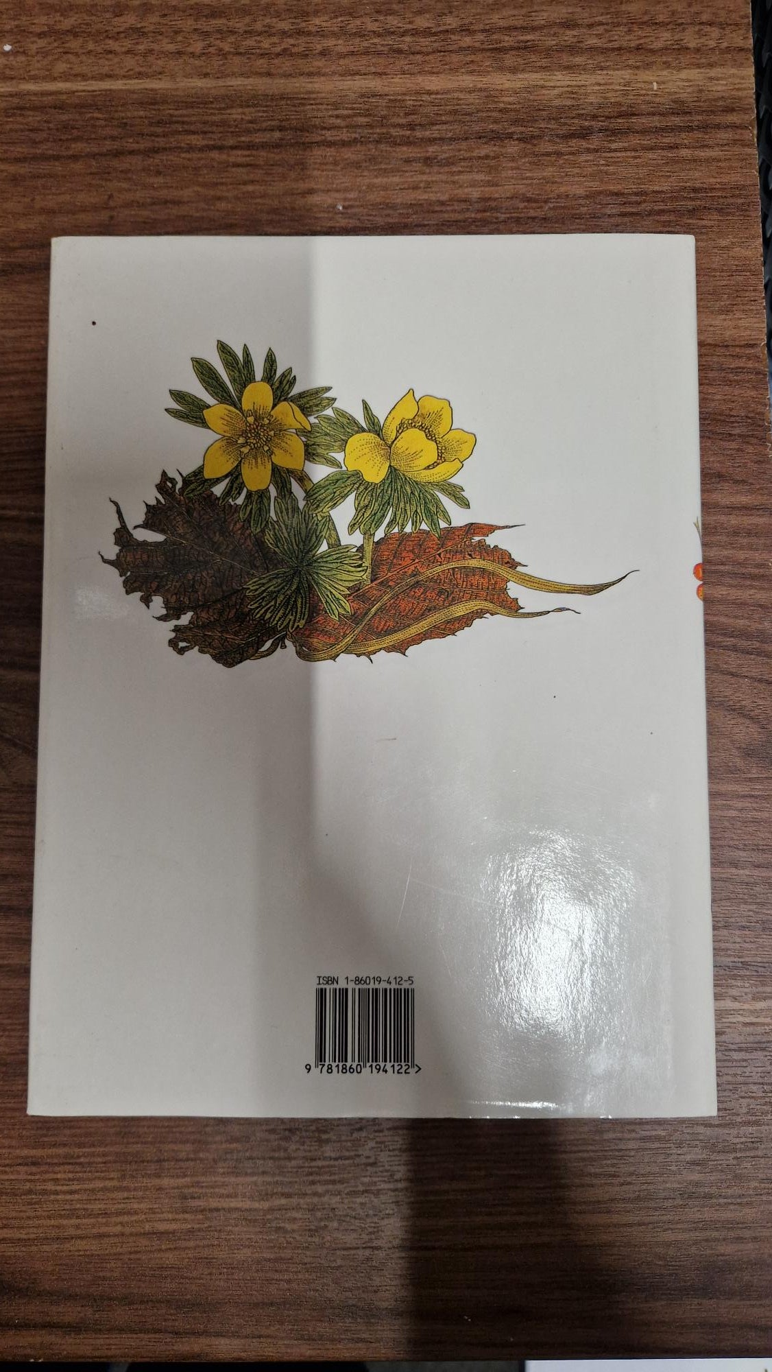 Natures Secrets By Mari Friend