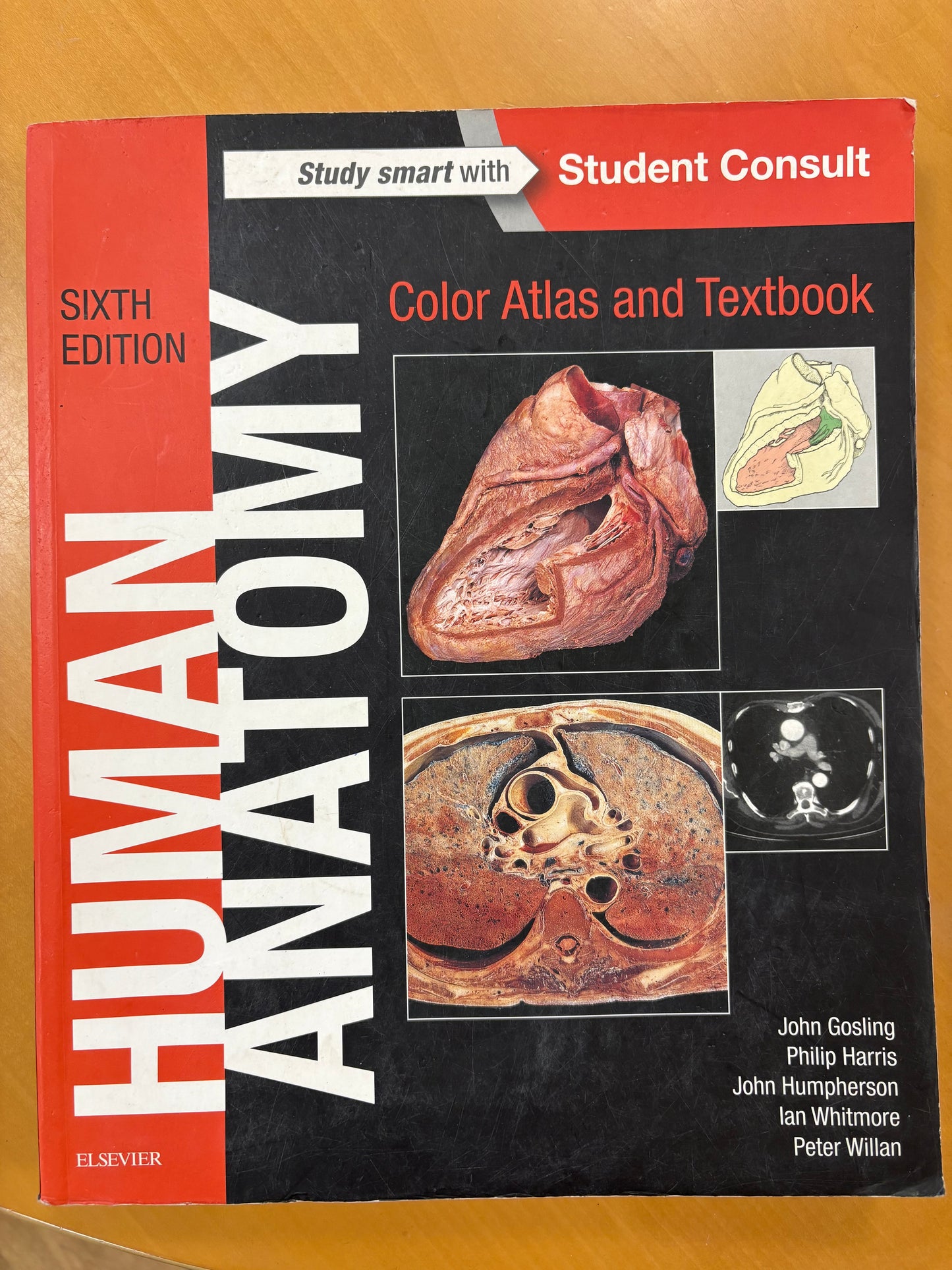 Human Anatomy: Color Atlas and Textbook, Sixth Edition by Elsevier