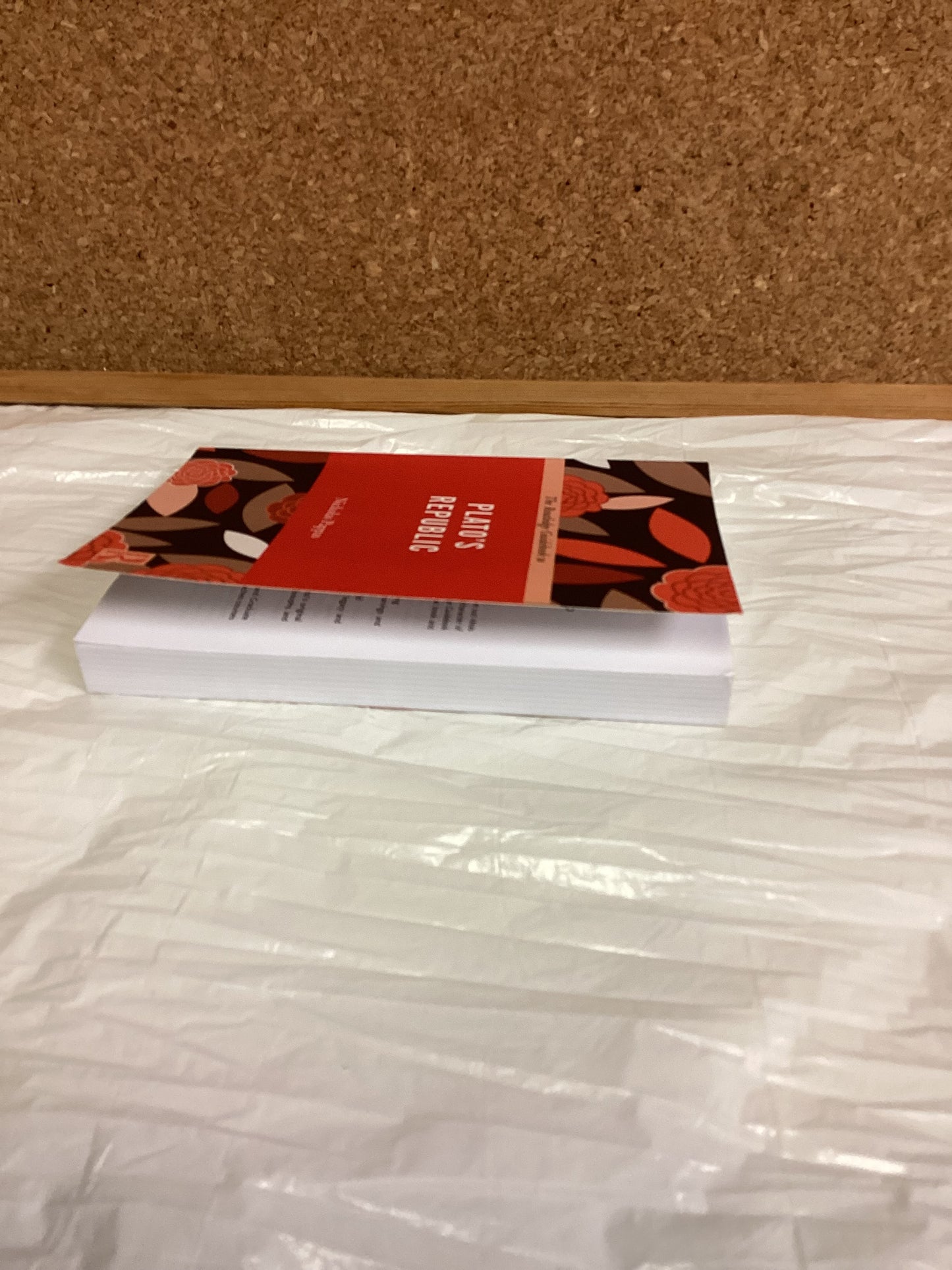 The Routledge Guidebook to Plato's Republic