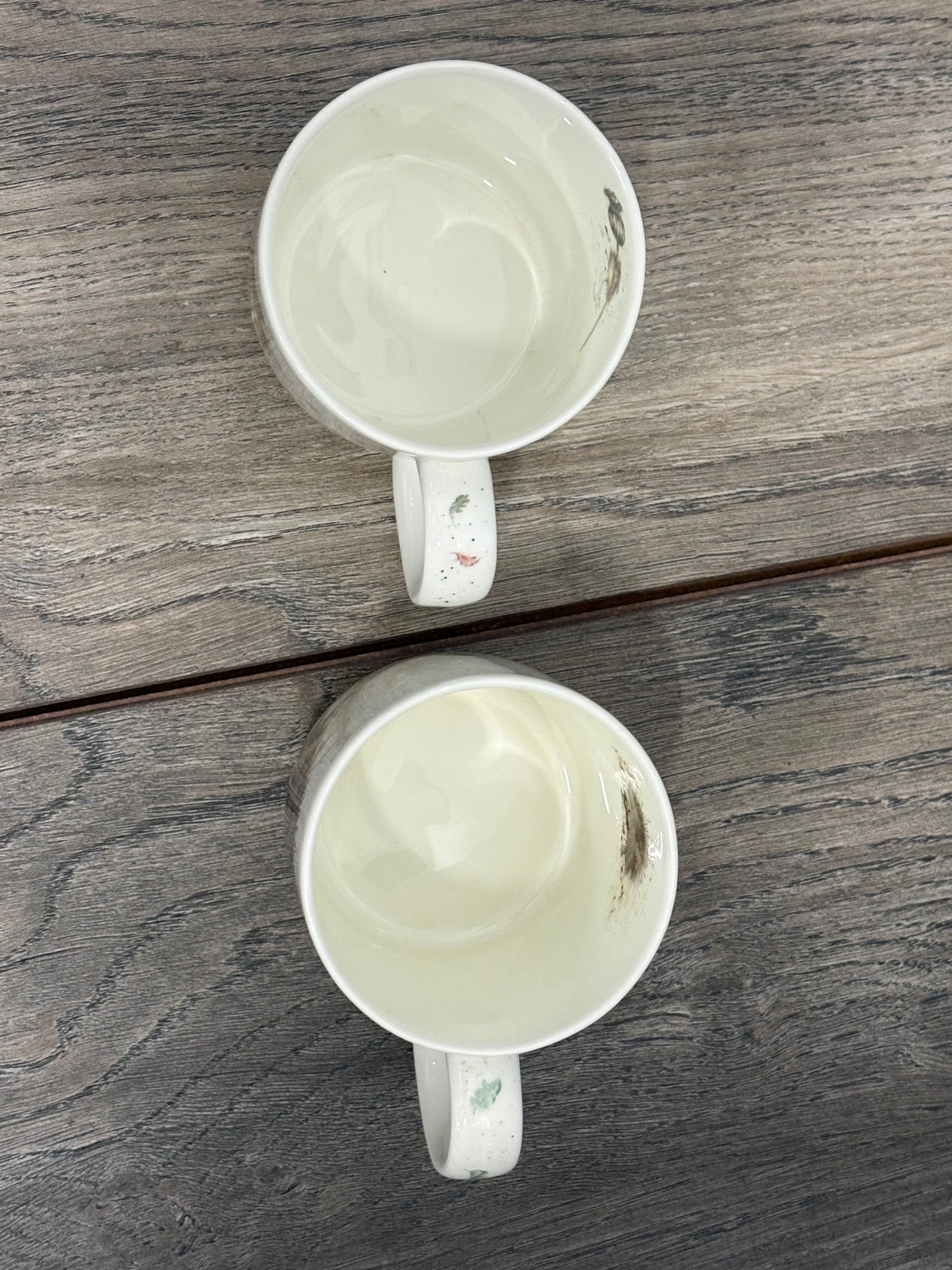Royal Worcester Wrendale Designs 6-piece Teaset