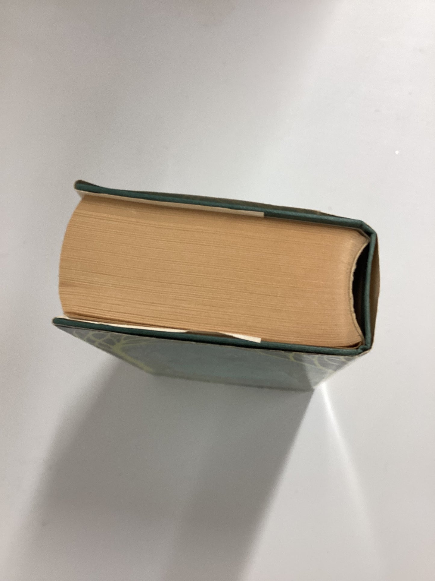 The Lord Of The Rings - Tolkien - 1979 All 3 Books In One  - Hardback