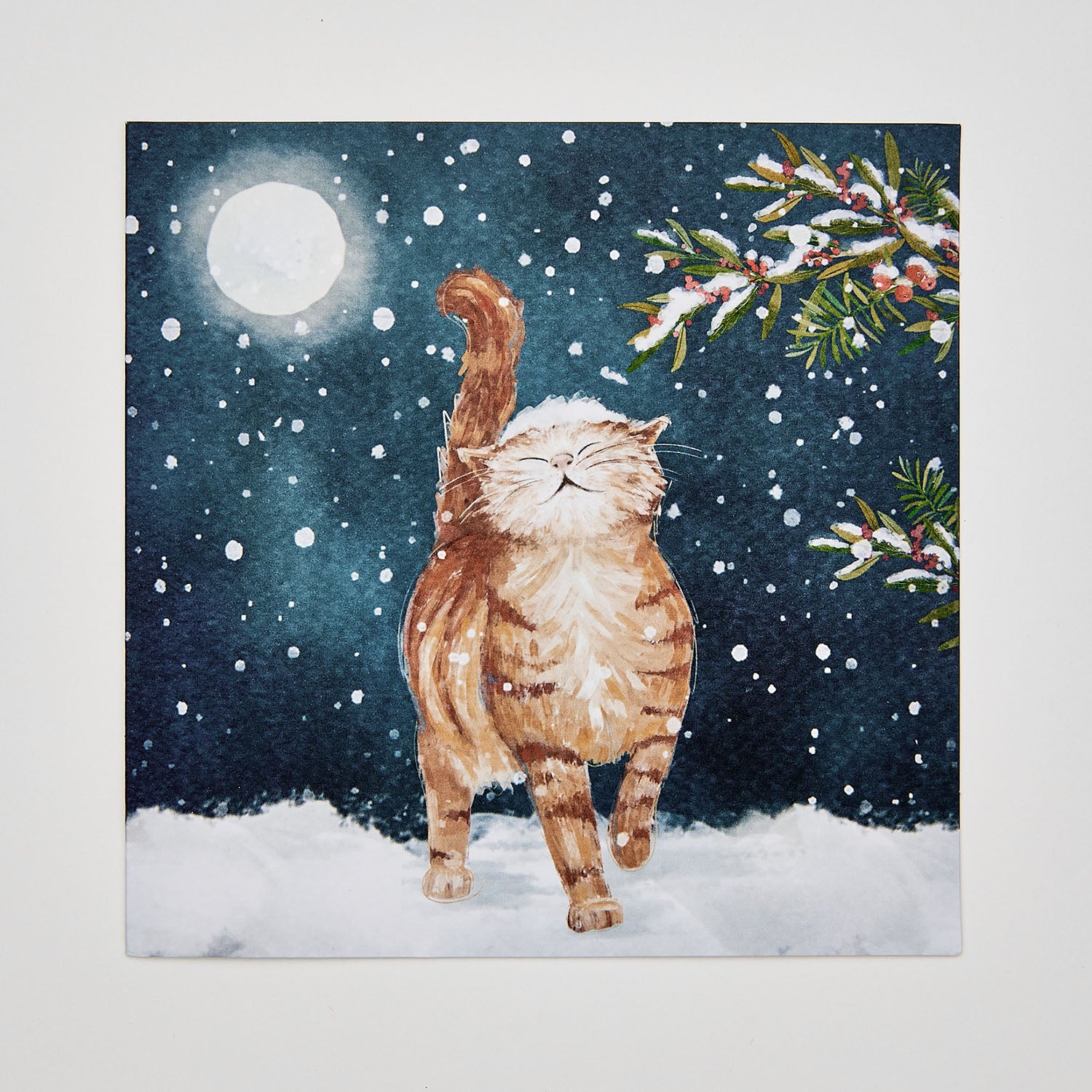 Christmas Cards - Over 80 Festive Designs - Shelter Shop – Shop for Shelter