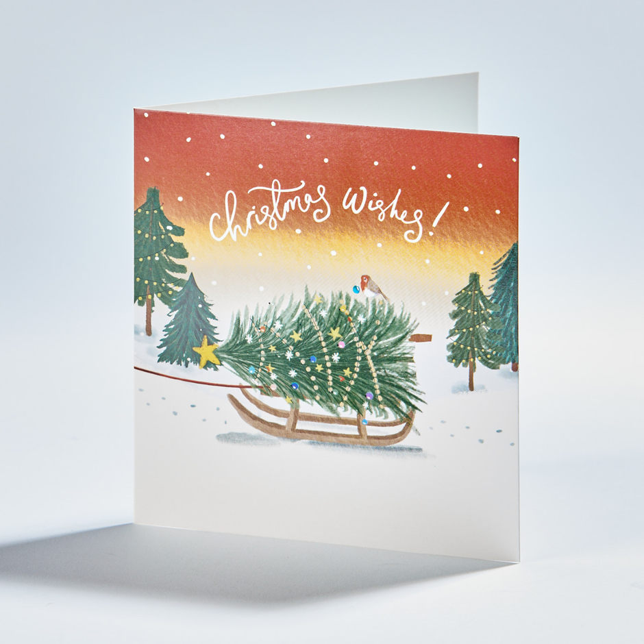 Christmas Cards - Over 80 Festive Designs - Shelter Shop – Shop for Shelter