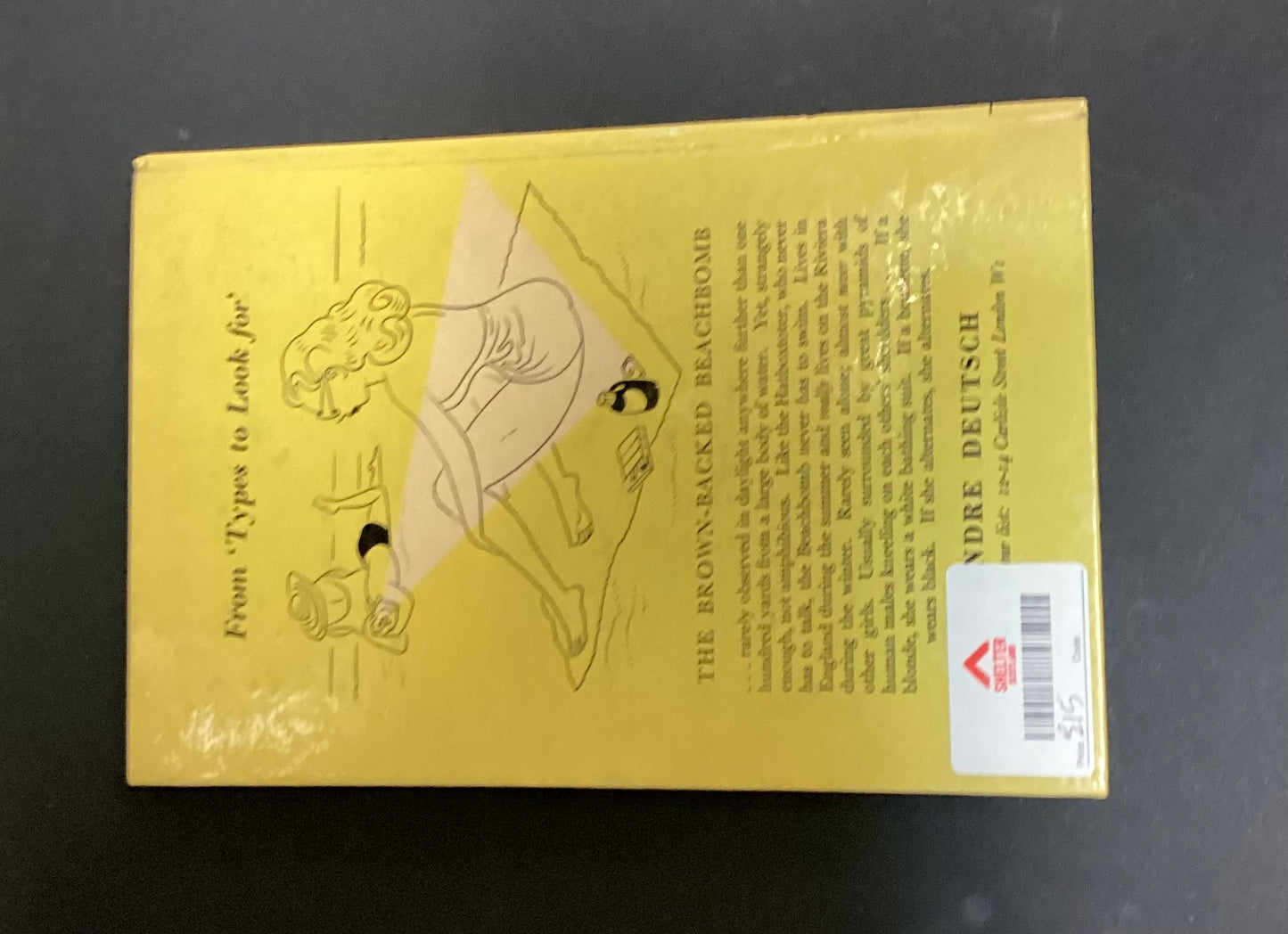 The Girl Watcher's Guide by Don Sauers
