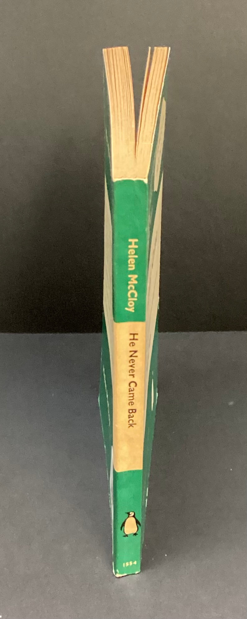 He never came back by Helen McCloy