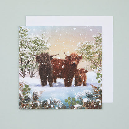 A square Christmas card with an illustration depicting three highland cows in the snow.