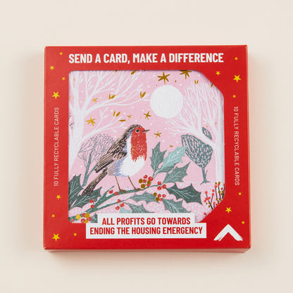 A Christmas card with a robin sitting on a holly branch against a pink sky, the card shown in red cardboard packaging with the title: 'Send a card, make a difference'