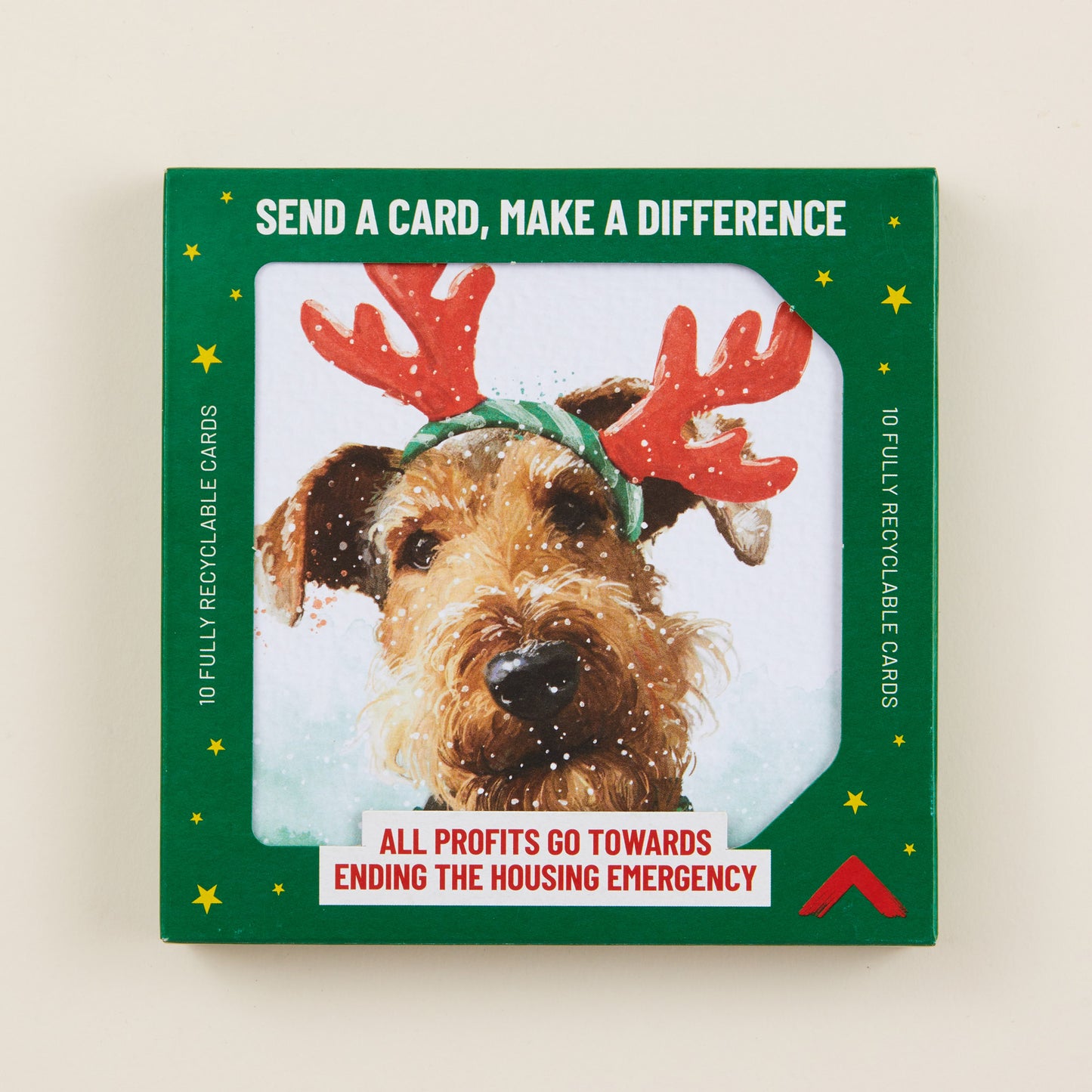 Box of Christmas cards with a dog wearing reindeer antlers on a green background