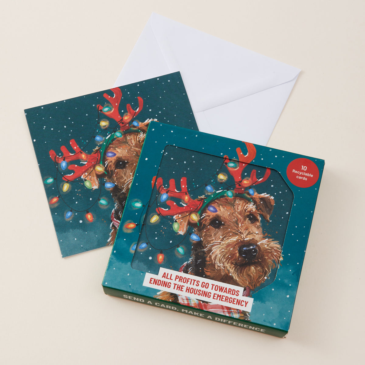 A boxed holiday greeting card set on a light beige background. The set includes a white envelope and two cards featuring a dog wearing red reindeer antlers with colorful Christmas lights on a dark teal background.