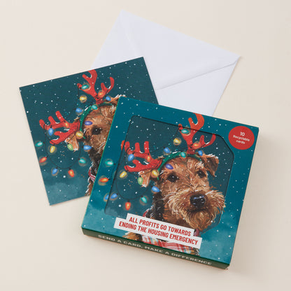 A boxed holiday greeting card set on a light beige background. The set includes a white envelope and two cards featuring a dog wearing red reindeer antlers with colorful Christmas lights on a dark teal background.