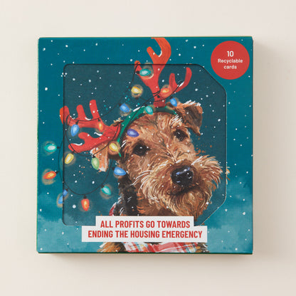 A square product box for a holiday card set featuring a dog dressed as a reindeer with colorful Christmas lights on a teal snowy background. The box has a red circular badge reading '10 Recyclable cards' and a white banner at the bottom that says 'ALL PROFITS GO TOWARDS ENDING THE HOUSING EMERGENCY'.