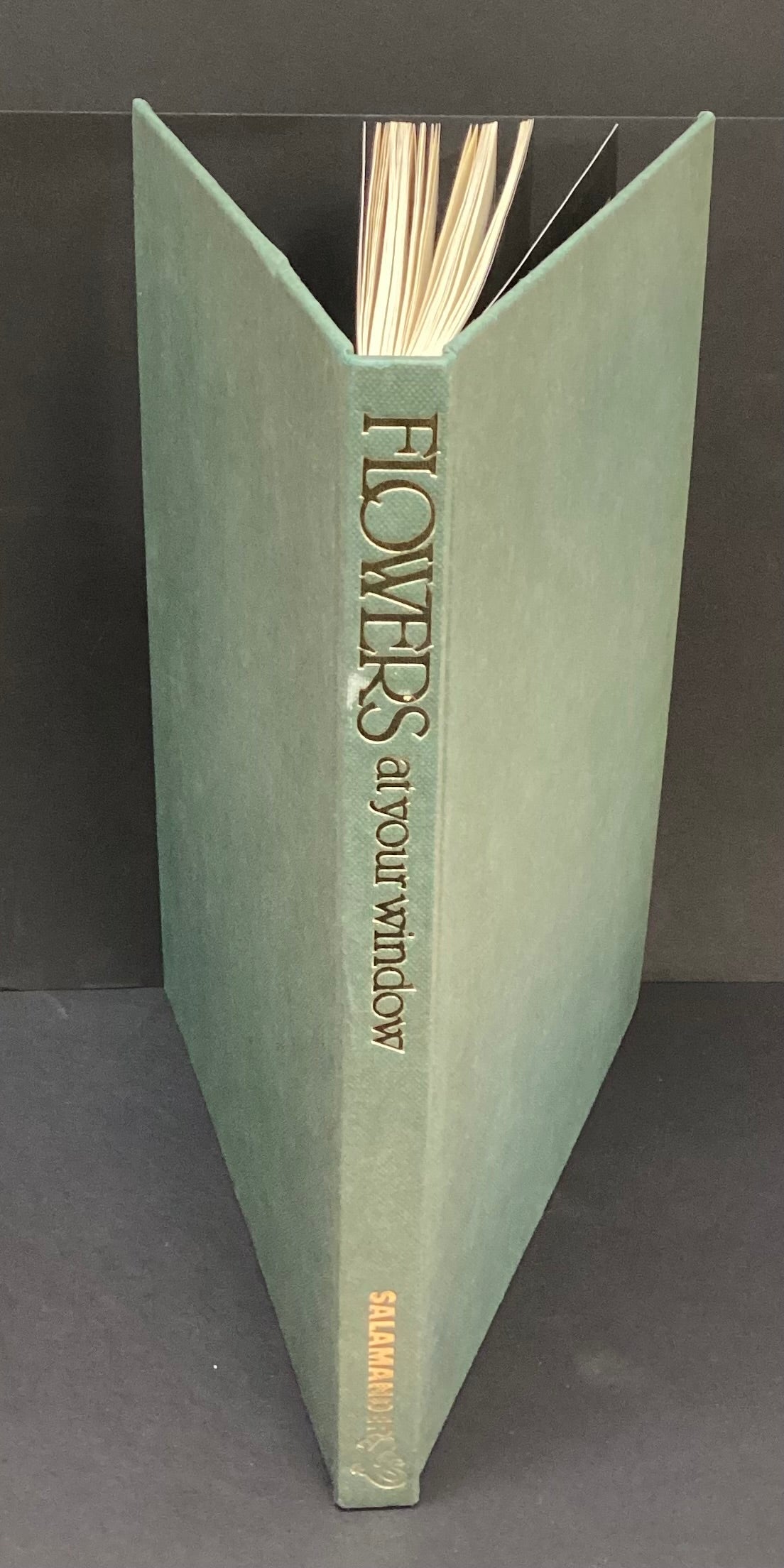 Flowers at your Window by Jack Kramer