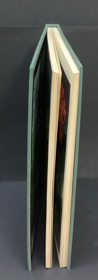 Flowers at your Window by Jack Kramer