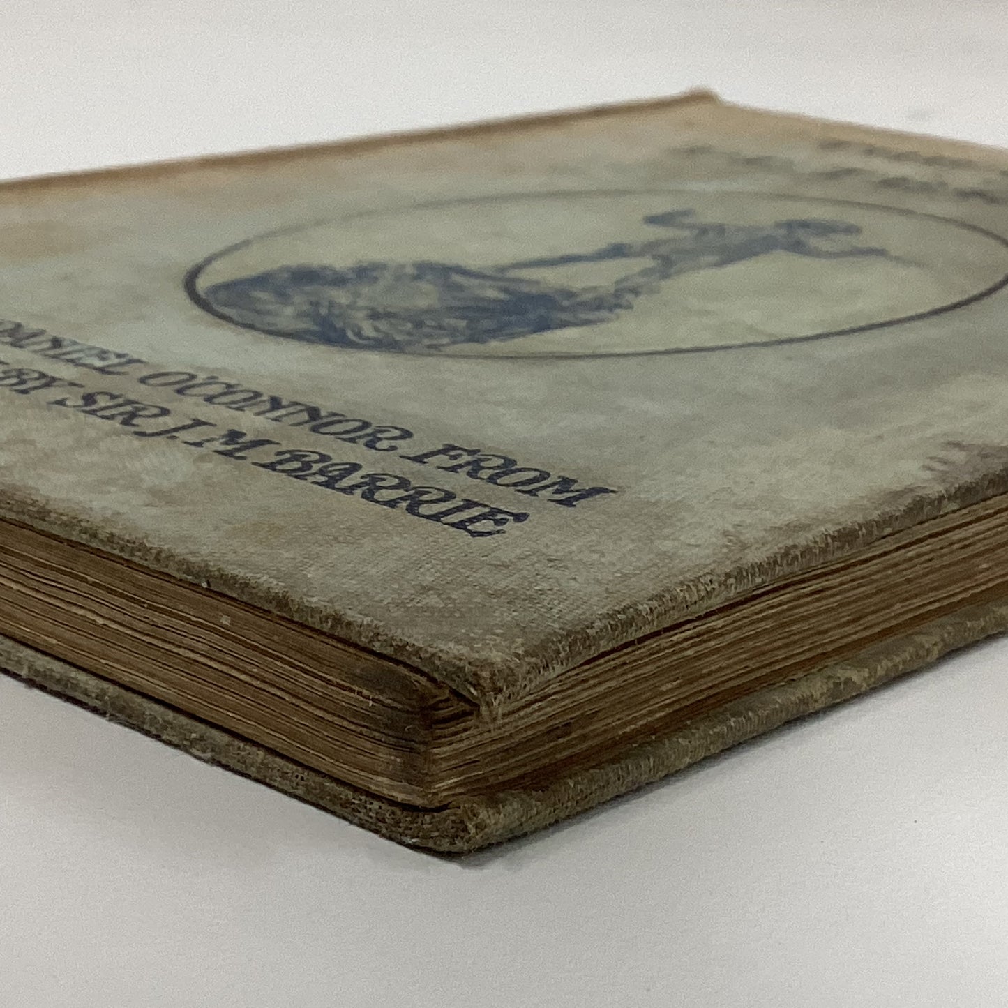 The Story Of Peter Pan Book 1920
