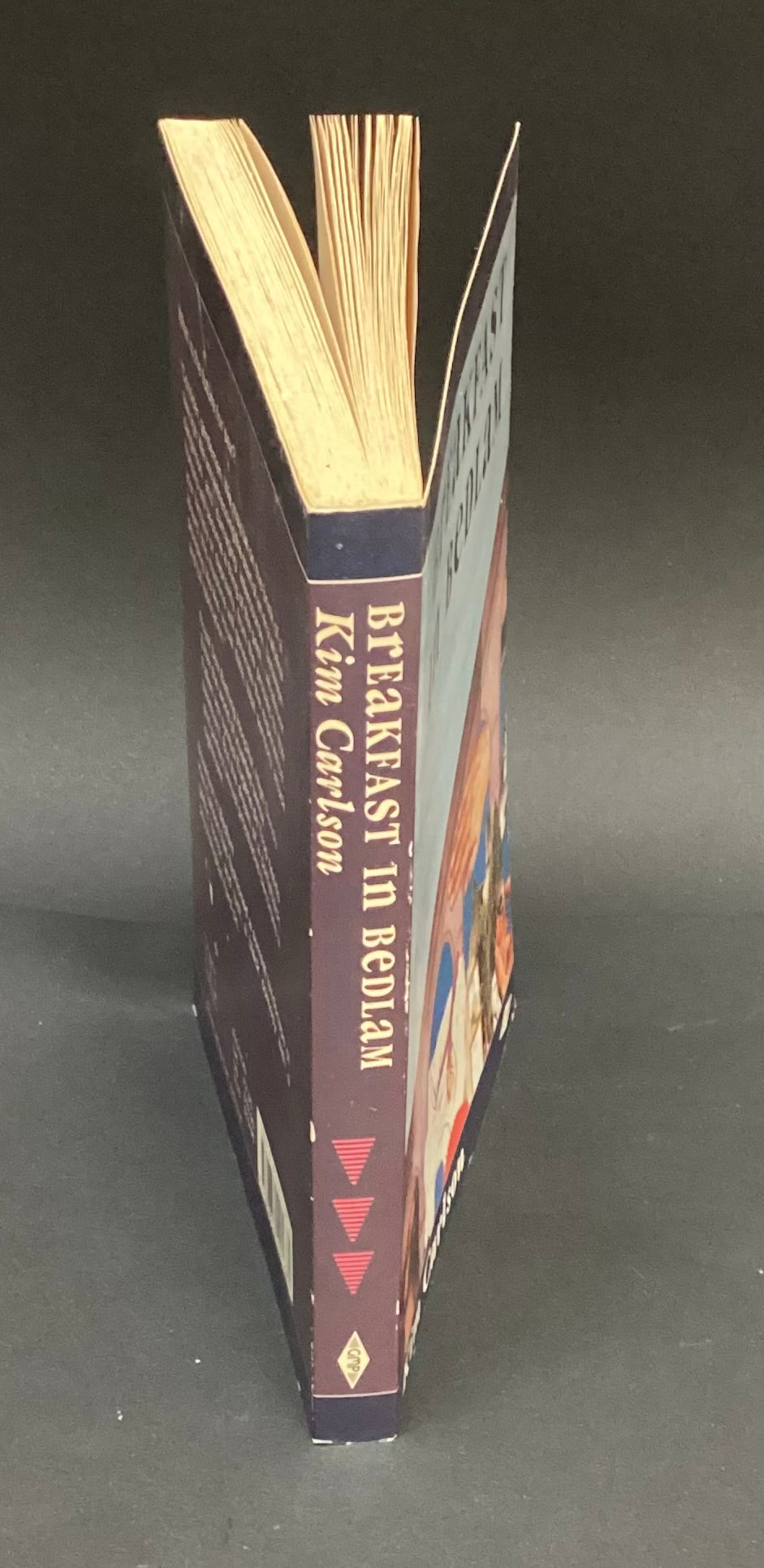 Breakfast in Bedlam by Kim Carlson