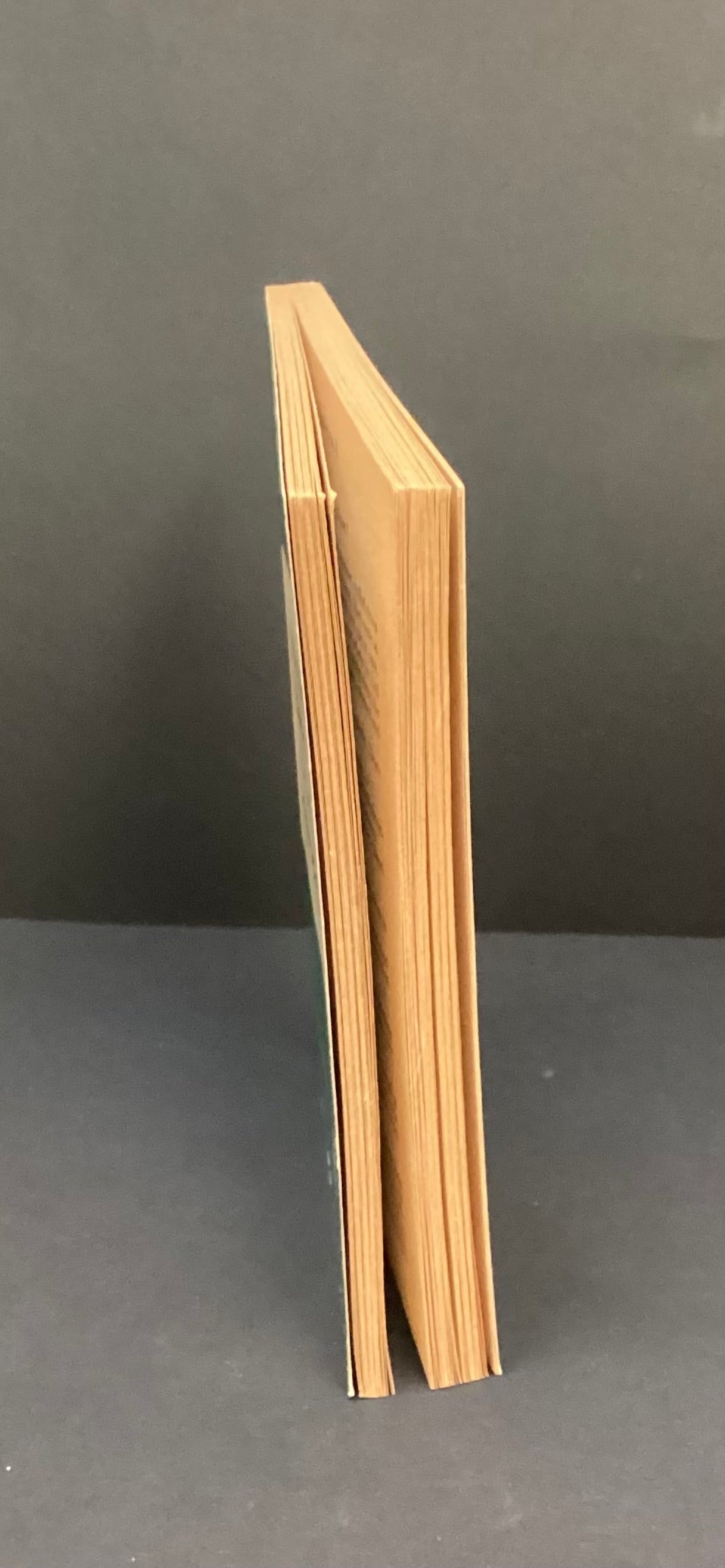 He never came back by Helen McCloy