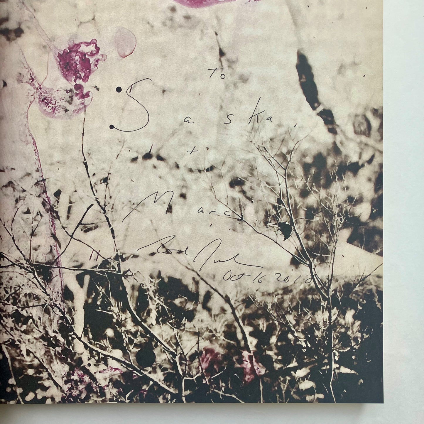 Julian Schnabel - Polaroids signed collectable hardback Photography book