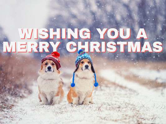 Two dogs wearing Christmas hats with 'Wishing You a Merry Christmas' text in a snowy landscape.