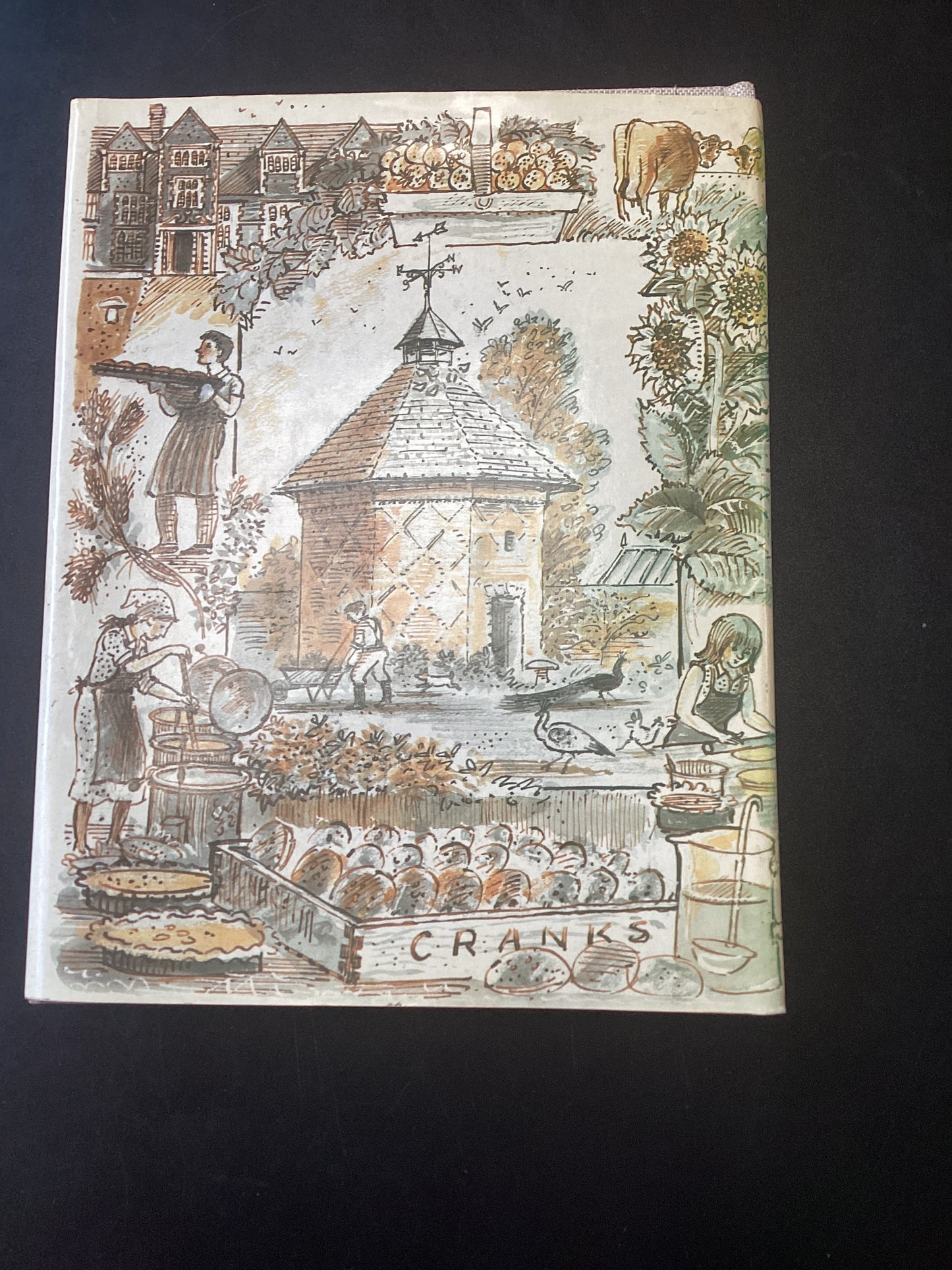 The Cranks Recipe Book by David Canter, Kay Canter and Daphne Swann
